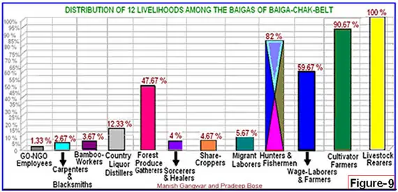 Indigenous Baiga people