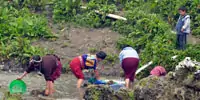 Indigenous Ixil people