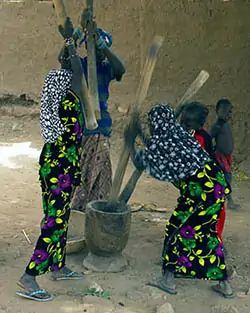 Indigenous Dogon people