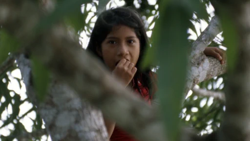 indigenous perspective on world news