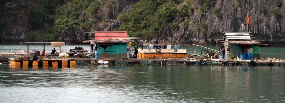 Halong Bay