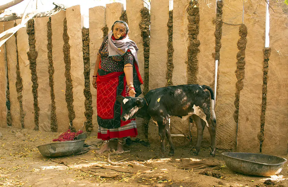 Bishnoi