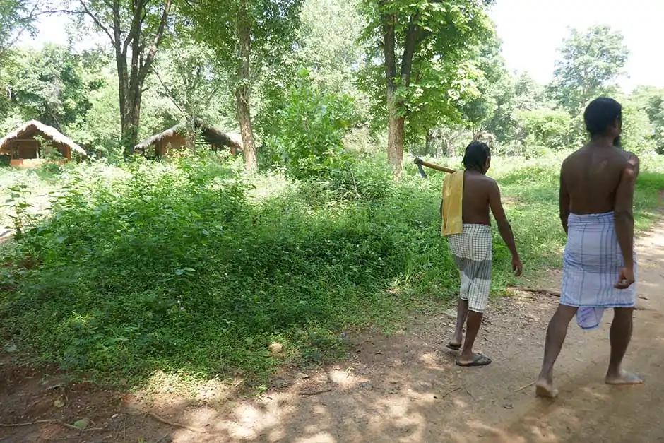 Indigenous Veddas Sri Lanka