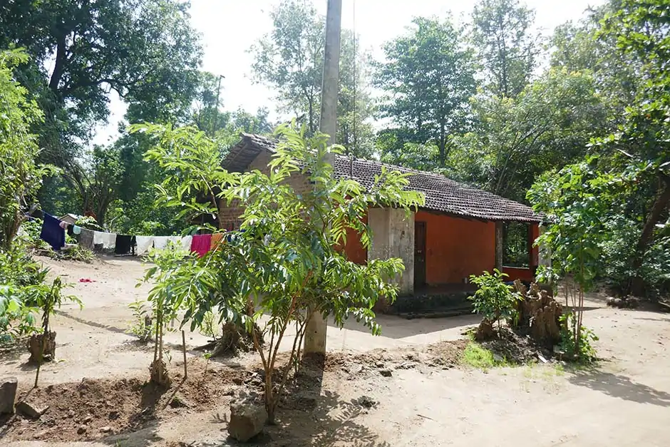 Indigenous Veddas Sri Lanka