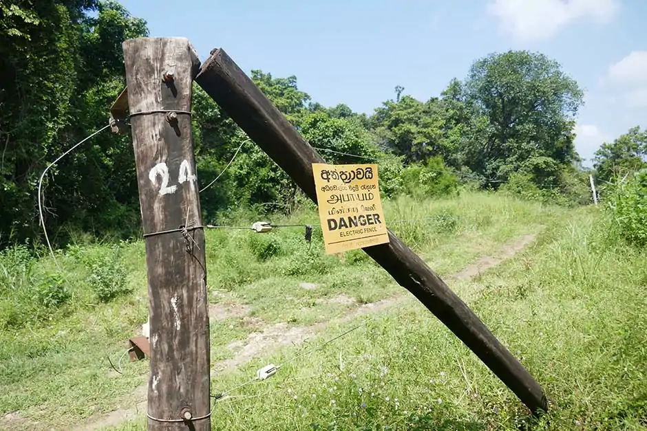 Indigenous Veddas Sri Lanka